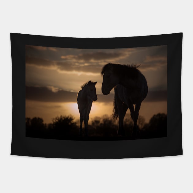 Sundown Tapestry by hton