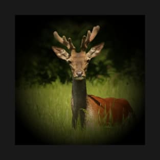 Red Deer T-Shirt