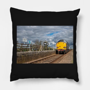 Class 37 RHTT Train At Berney Arms Pillow