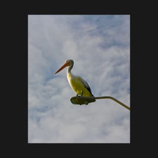 Pelican on a Light! T-Shirt