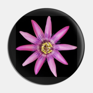 Passiflora Lavendar Lady Pin