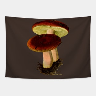 two lil mushrooms Tapestry