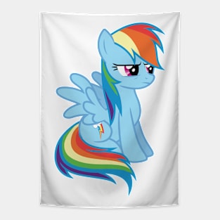 Rainbow Dash sitting Tapestry