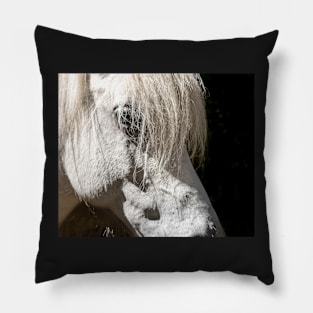 Beautiful white horse portrait on black background Pillow