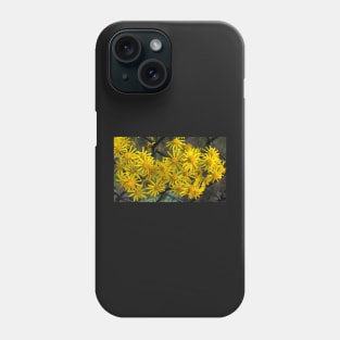 Yellow Daisies in Loyal Friendship Despite Obstacles Phone Case