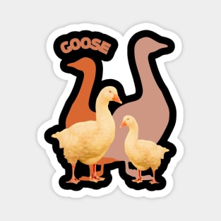 Goose photo with orange and beige background geese Magnet
