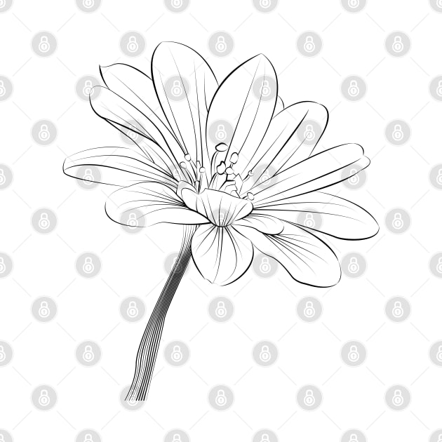 Black Flower Illustration by Tt Store