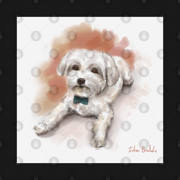 Cute Watercolor Drawing of Maltese, Orange Background by ibadishi