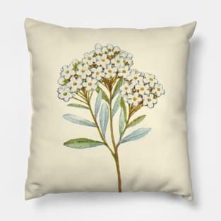 Nature Vintage Botanical Cream Flower Plant Watercolor Art Pillow