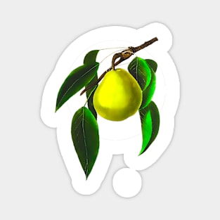 Green pear Magnet