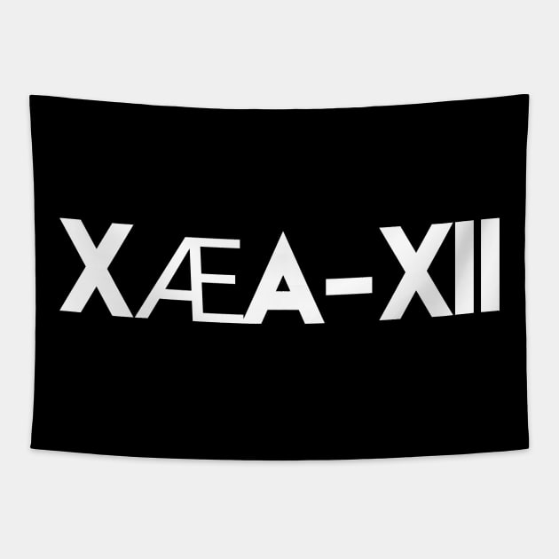 Elon Musks Son X Æ A-XII Grimes Son White Text XÆA-XII Tapestry by AstroGearStore