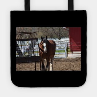 Clydesdale Tote