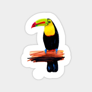 Toucan Magnet