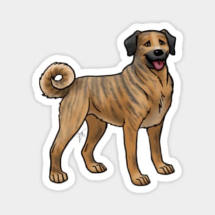 Dog - Anatolian Shepherd - Brindle Magnet