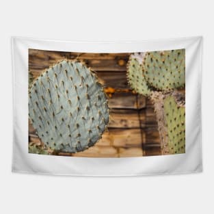 cactus Tapestry