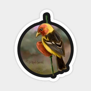 Western Tanager Magnet