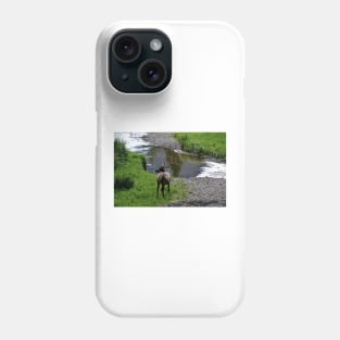 Bull by the River Phone Case