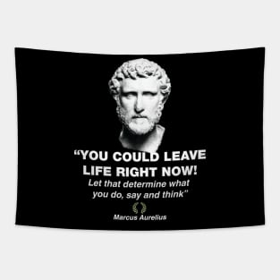 Marcus Aurelius, Chief Stoic Tapestry