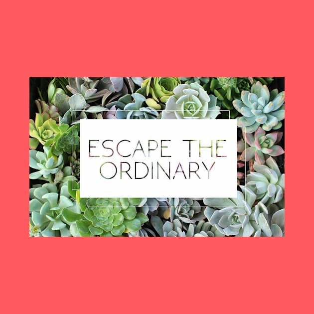 Escape the Ordinary by CreativeHermitCo