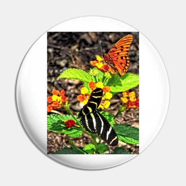 Butterflies - Monarch Butterfly and Zebra Butterfly Pin by SusanSavad
