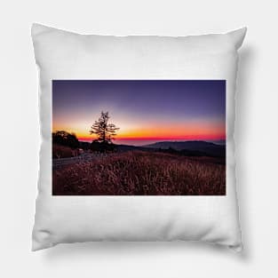 Road in Kneeland Pillow