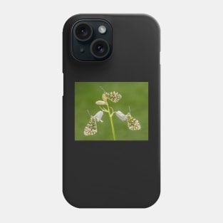 Three Orange Tip Butterflies on a White Bluebell Phone Case