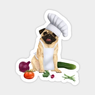 Chef pug Magnet