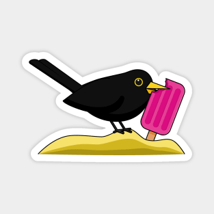 Cartoon Blackbird Eating An Ice Cream Magnet