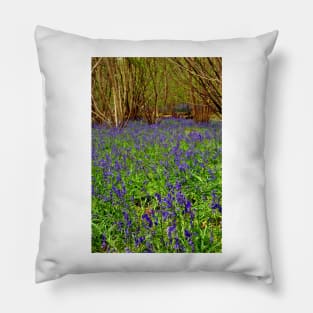 Bluebell Woods Basildon Park Reading UK Pillow