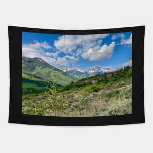 Snowmass village mountains Tapestry