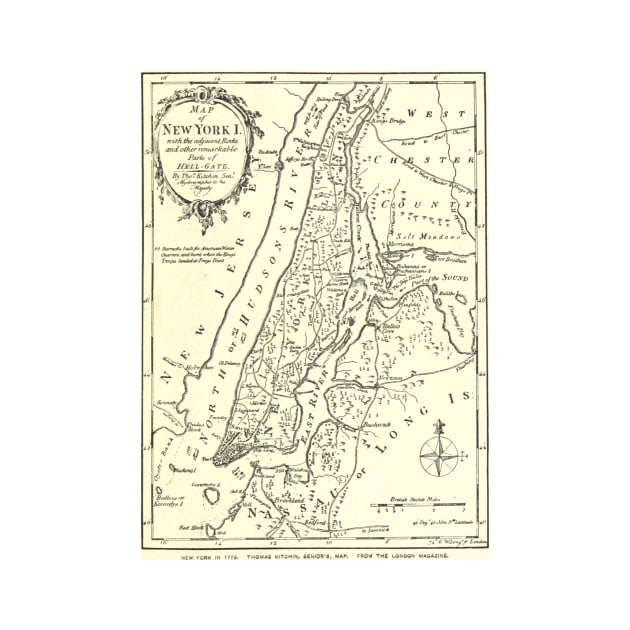 Vintage Map of New York City (1893) by Bravuramedia