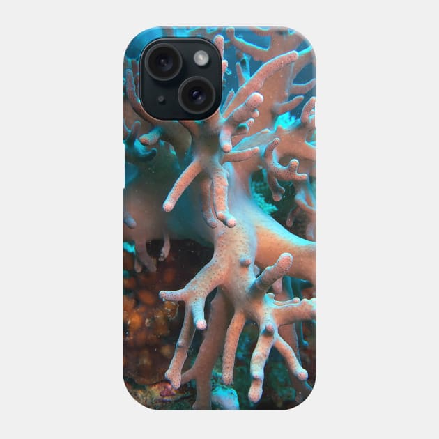 Red Sea Soft Coral Phone Case by likbatonboot