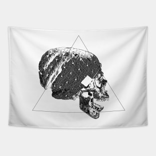 invert skull with beanie Tapestry