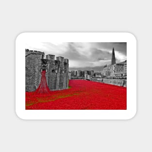 Tower of London Red Poppy Magnet