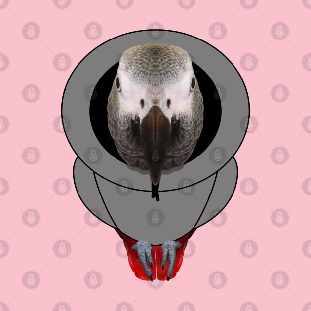 African Grey Parrot Hoodie by African Grey Parrot Gear