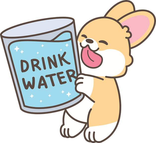 Drink Water Corgi Kids T-Shirt by XEENYEE