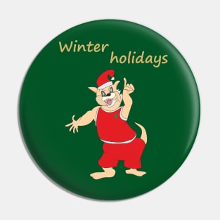 Winter holidays Pin