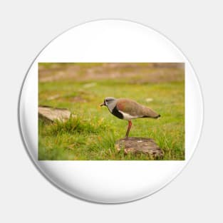 sbs lapwing Pin