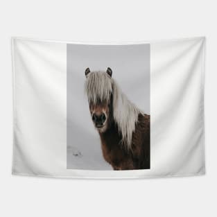 Mountain Horse Tapestry