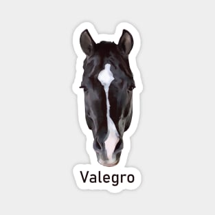Valegro Face Marking with Name Magnet