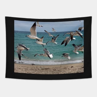 Birds in Flight Over Beach Tapestry