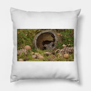 coconut shell mouse Pillow