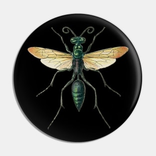 Big Bug 1 Pin