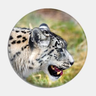 Snow Leopard Pin