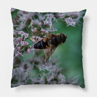 Bee And Moth On Water Hemp Flower Pillow