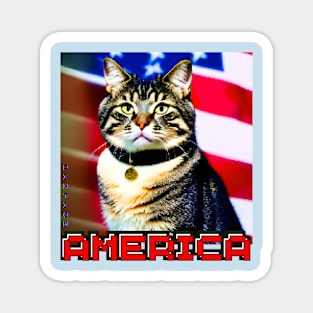 Cat America Magnet