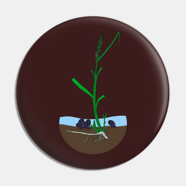 Spartina-Geukensia mutualism Pin by DashingGecko