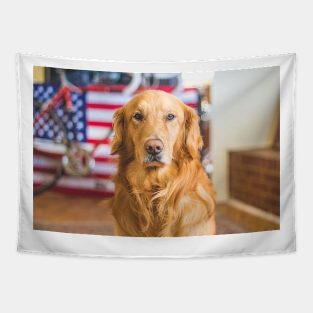 The most beautiful Golden Retriever. Tapestry by DZanotto