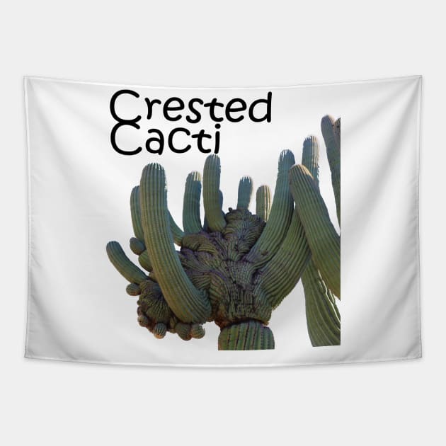 Crested Cacti Tapestry by simonjgerber