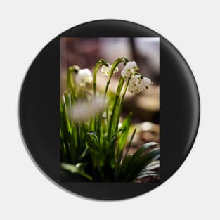 Spring snowdrop flowers Pin